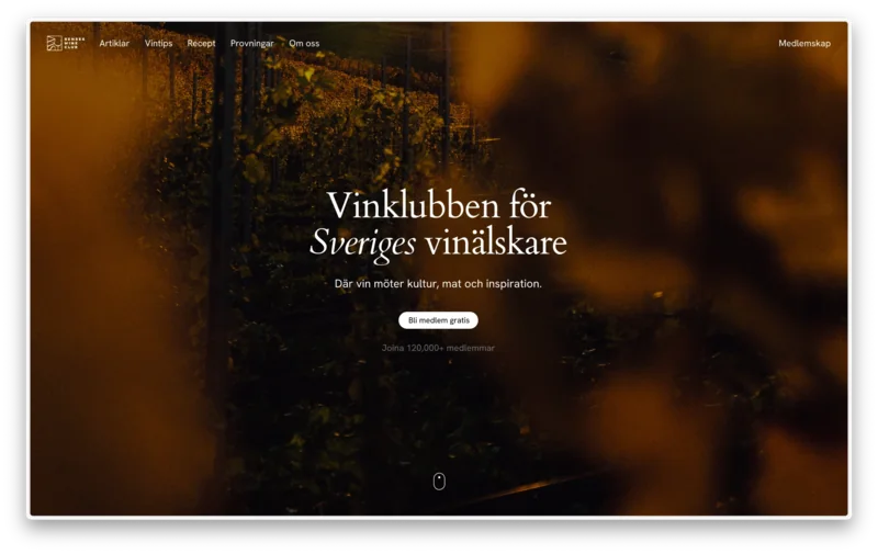 Senses Wineclub website with a vineyard photograph