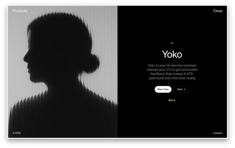 Yoko product panel with a blurred monochrome portrait and resume reviewer description